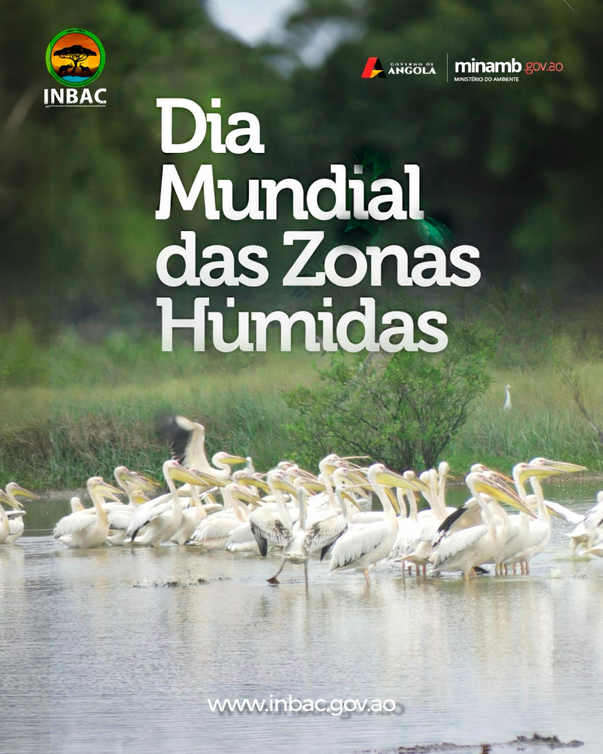 INBC - Instituto Nacional de Biodiversidade e Conservação
