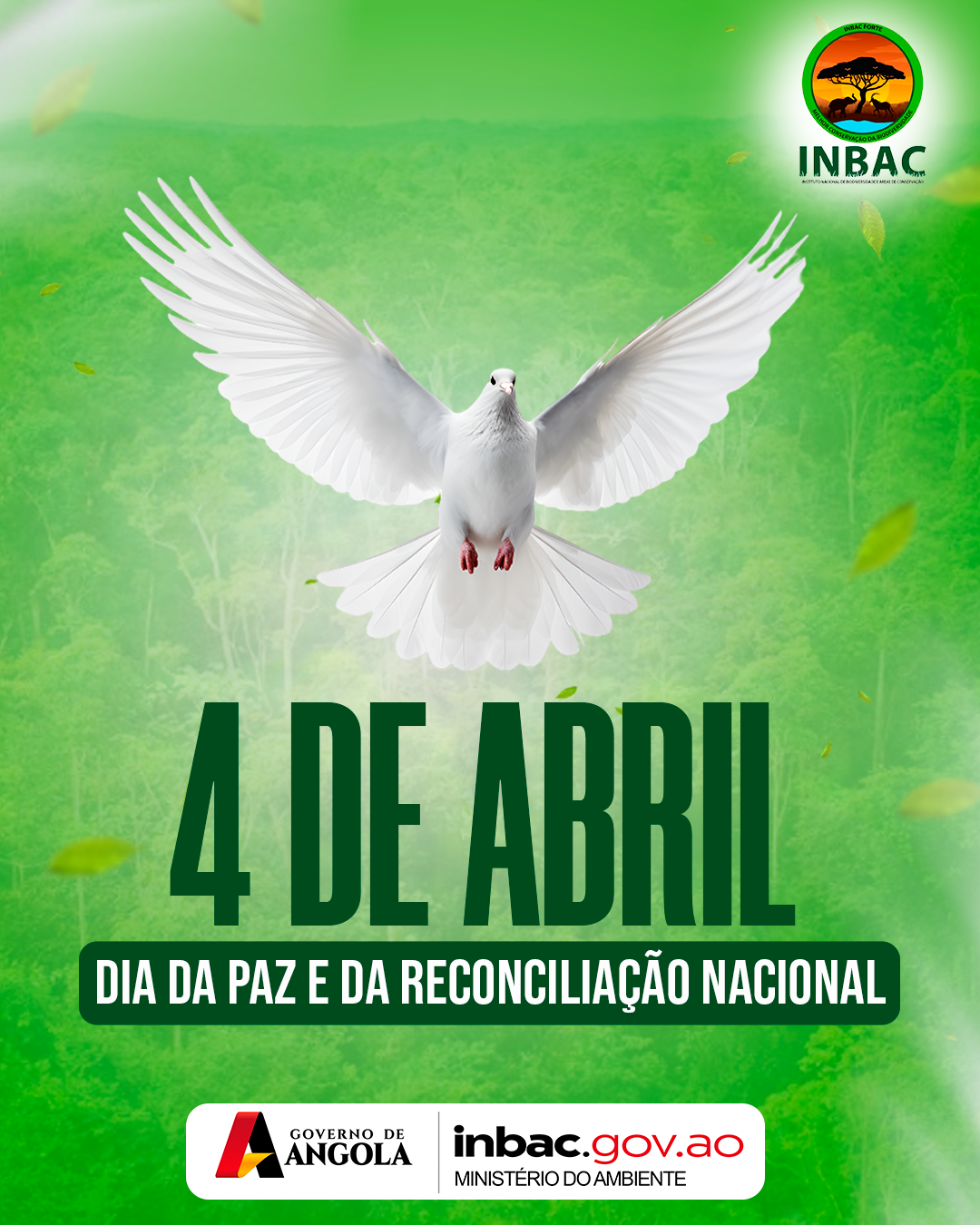 INBC - Instituto Nacional de Biodiversidade e Conservação